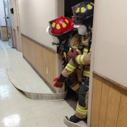 FCFD