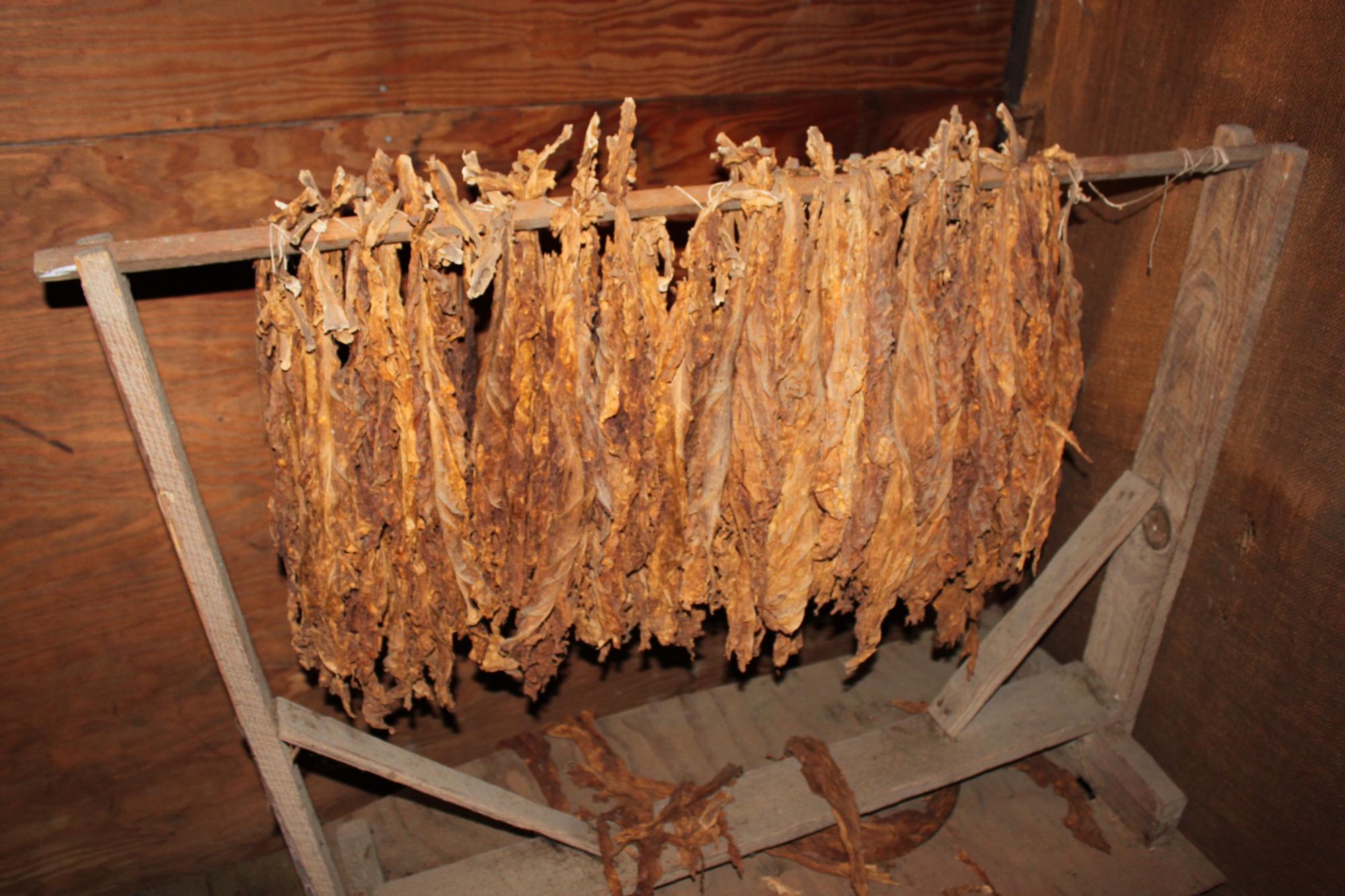 Tobacco